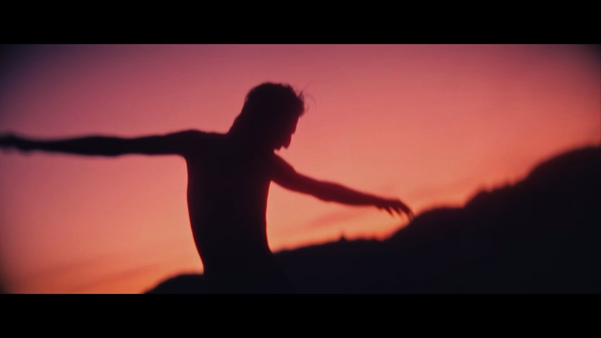 A silhouetted figure against a pink sunset in How to Disappear